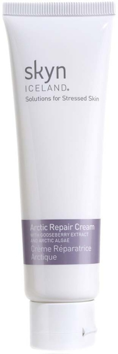 SKYN ICELAND Arctic Repair Cream 59 ml i gruppen HELSE OG SKJØNNHET / Hudpleie / Ansikt / Ansiktskrem hos TP E-commerce Nordic AB (D04242)