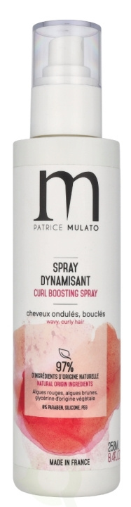 Patrice Mulato P. Mulato Energising Treatment Spray 250 ml i gruppen HELSE OG SKJØNNHET / Hår & styling / Hårpleie / Balsamspray/kur hos TP E-commerce Nordic AB (D08277)