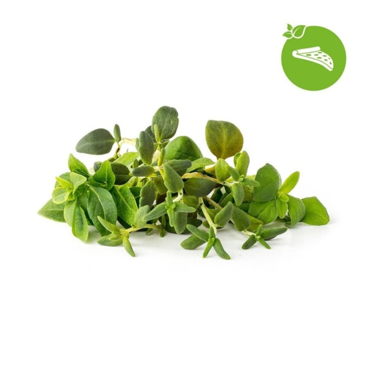 Click & Grow Smart Garden Refill 9-pakning italiensk urtemiks i gruppen SPORT, FRITID & HOBBY / Morsomme produkter / Smarte produkter hos TP E-commerce Nordic AB (D11218)