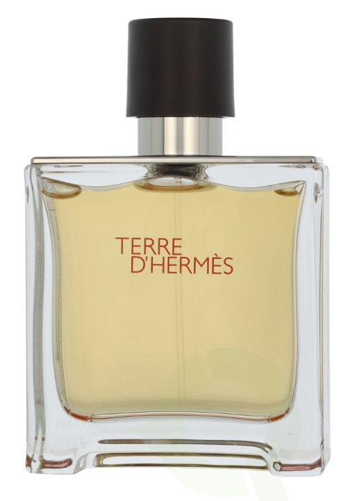 Hermes Terre D\'Hermes Edp Spray 75 ml i gruppen HELSE OG SKJØNNHET / Duft og parfyme / Parfyme / Parfyme for han hos TP E-commerce Nordic AB (D11740)