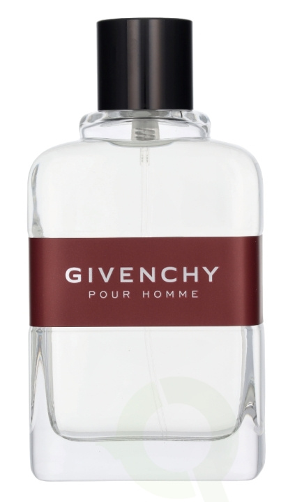 Givenchy Pour Homme Edt Spray 100 ml i gruppen HELSE OG SKJØNNHET / Duft og parfyme / Parfyme / Parfyme for han hos TP E-commerce Nordic AB (D14500)